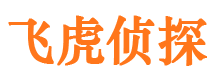 台江侦探公司